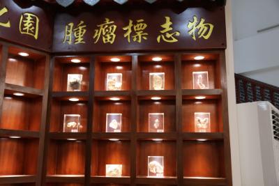 广州御和堂：卵巢癌的症状和前兆